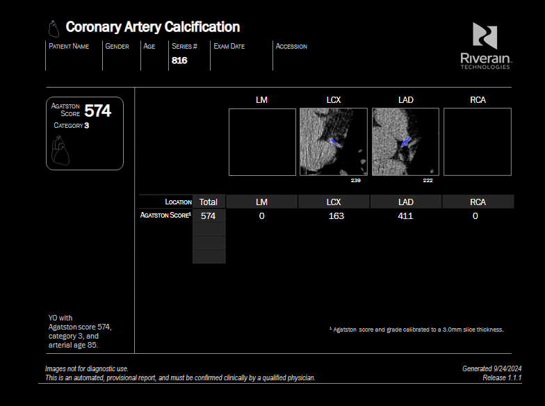 CAC_Report (1)